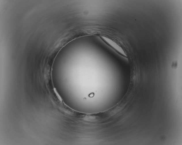 X0000112870332200908211432