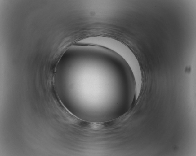X0000112870333200908211432