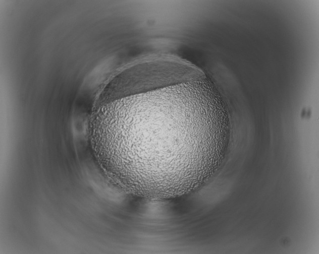 X0000112870336200908211432