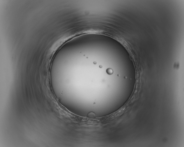 X0000112870337200908211431