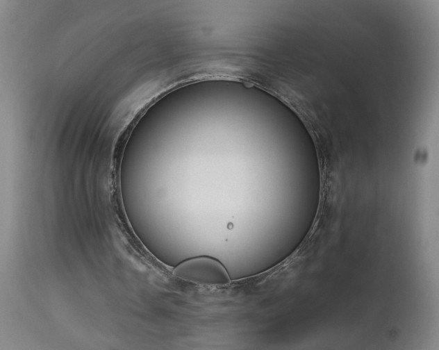 X0000112870338200908211431