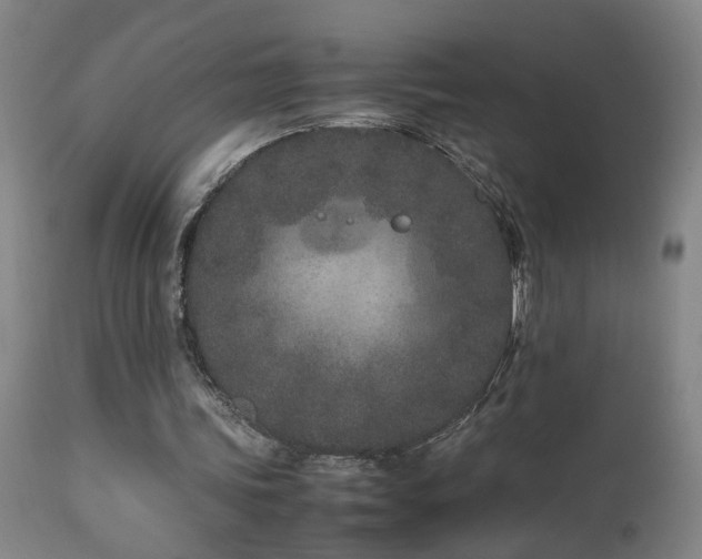 X0000112870339200908211431