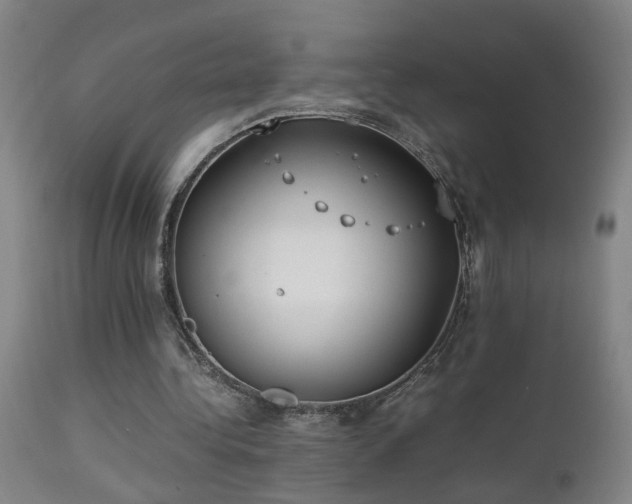 X0000112870340200908211431