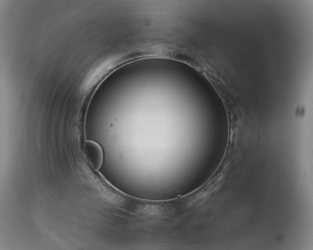 X0000112870341200908211431