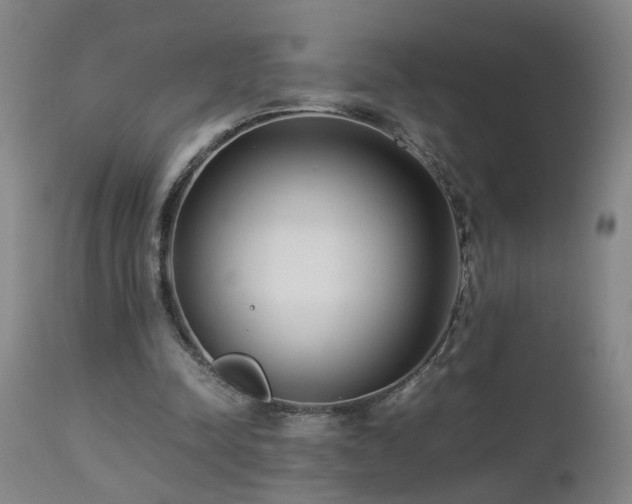 X0000112870342200908211431