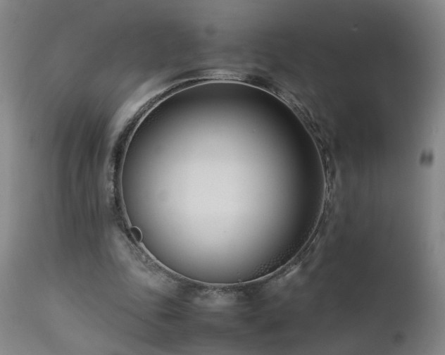 X0000112870343200908211431