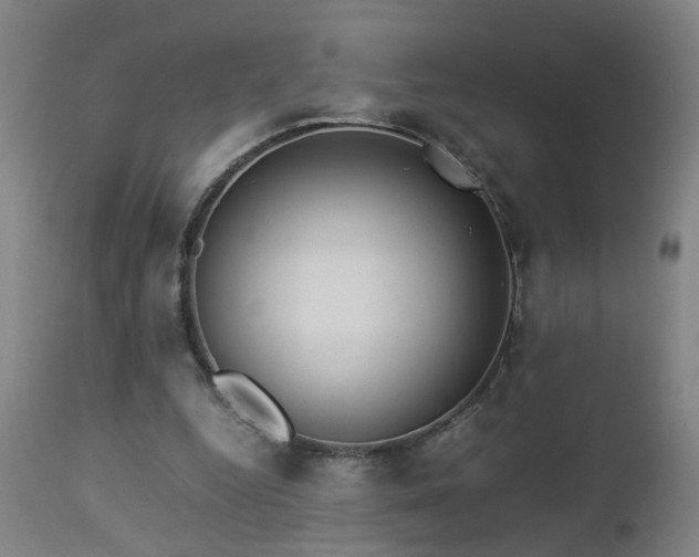 X0000112870344200908211431