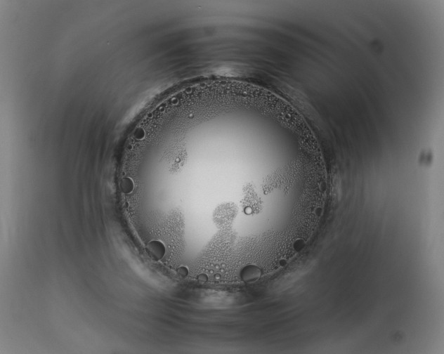 X0000112870347200908211431