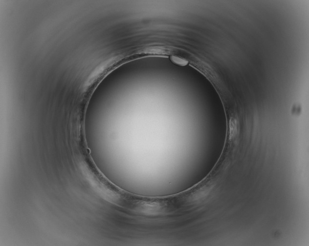 X0000112870349200908211431