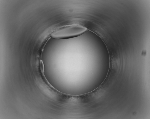 X0000112870350200908211431
