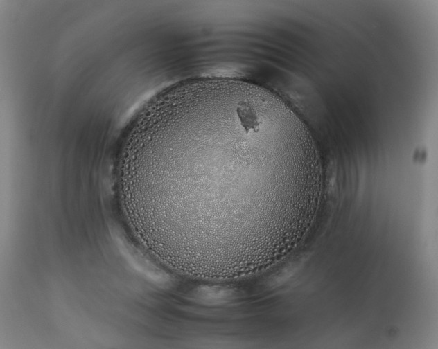 X0000112870351200908211431