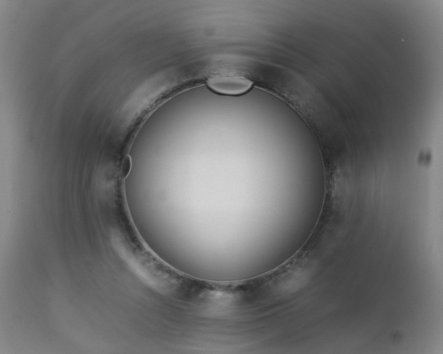 X0000112870352200908211431