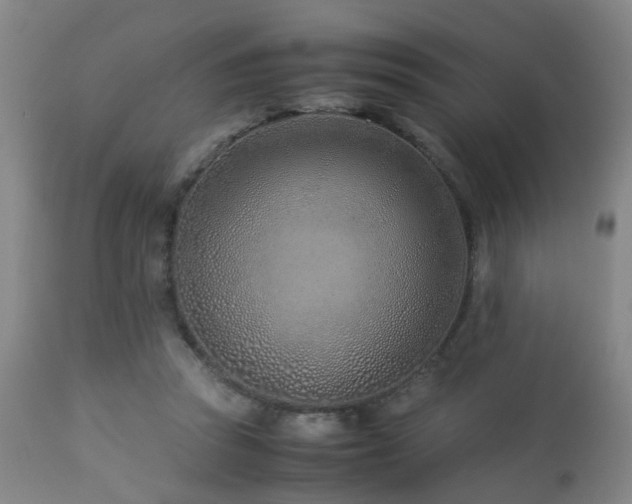 X0000112870353200908211431