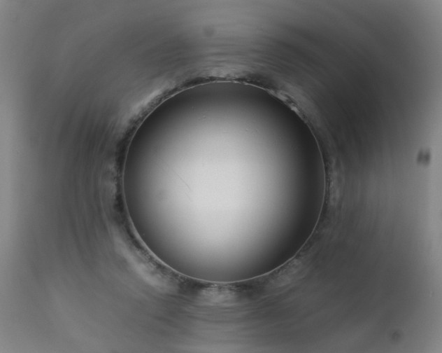 X0000112870354200908211431