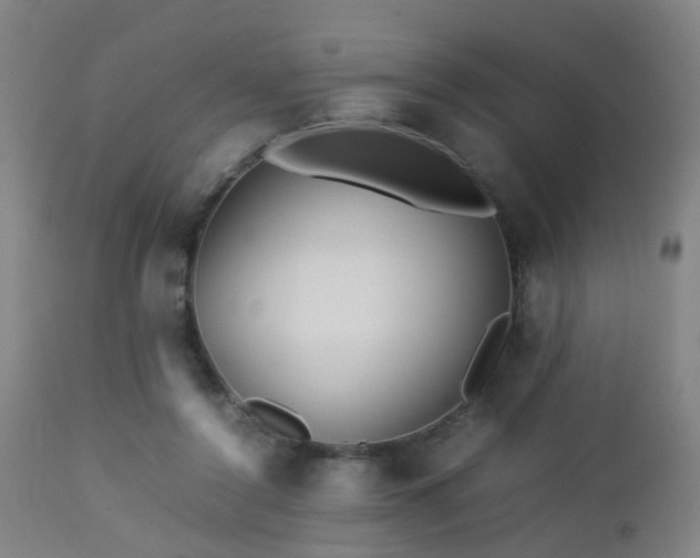 X0000112870356200908211431
