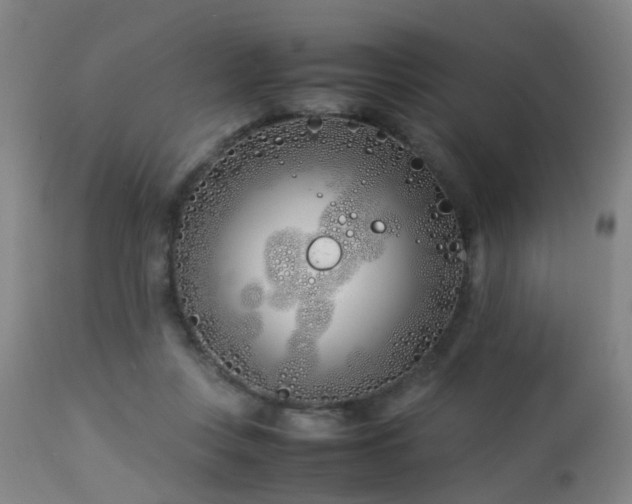 X0000112870359200908211431