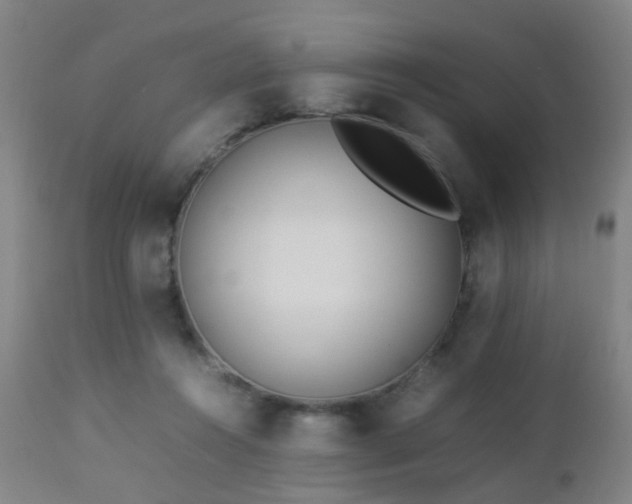 X0000112870360200908211431
