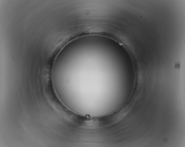 X0000112870362200908211432