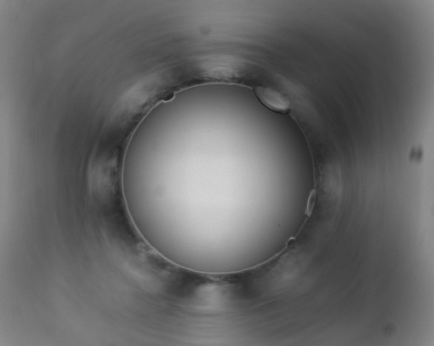 X0000112870364200908211432