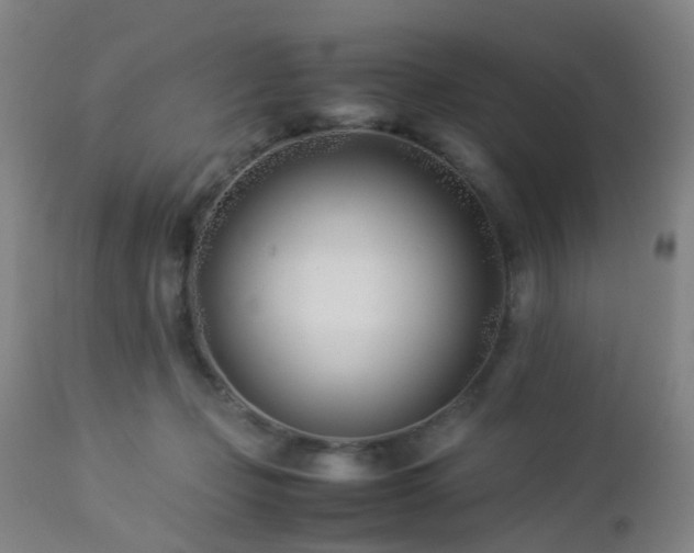 X0000112870365200908211432