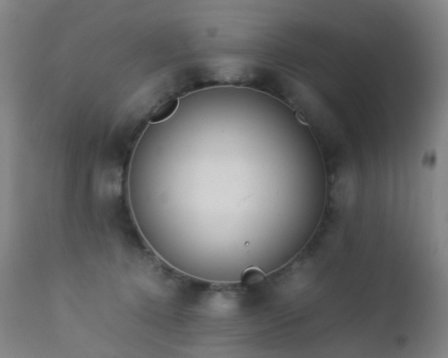 X0000112870368200908211432