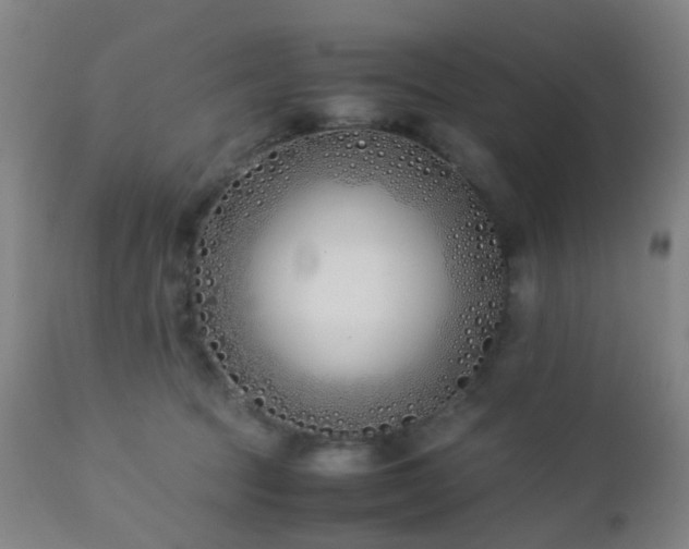 X0000112870369200908211432