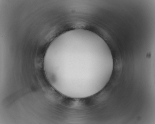 X0000112870370200908211432