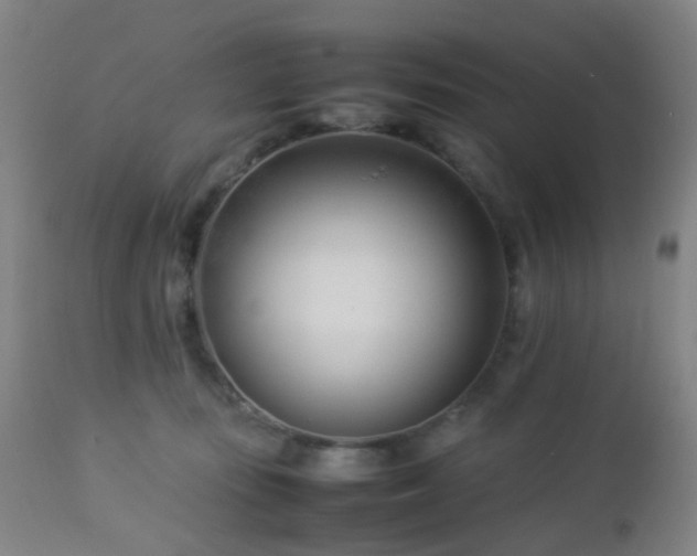 X0000112870371200908211432