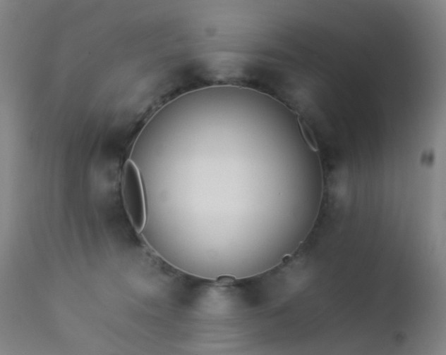 X0000112870372200908211432