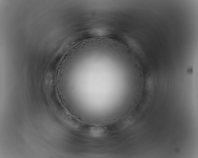X0000112870373200908211432