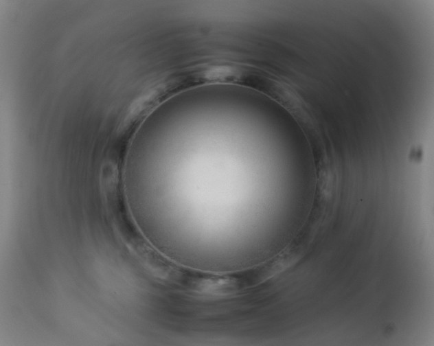 X0000112870375200908211432