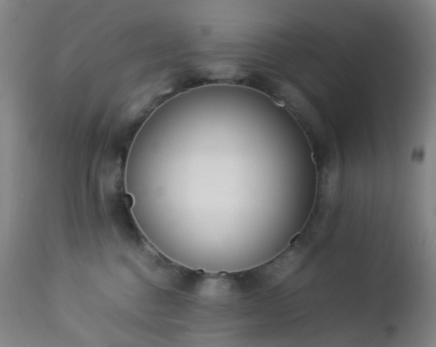 X0000112870376200908211432