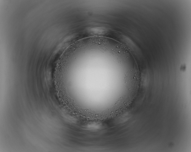 X0000112870377200908211432