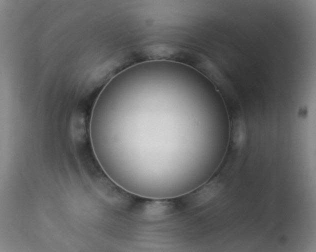 X0000112870378200908211432