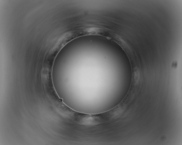 X0000112870379200908211432