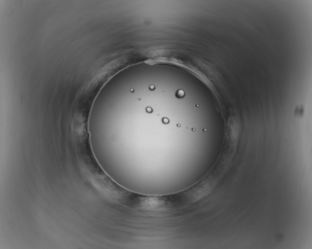 X0000112870380200908211432
