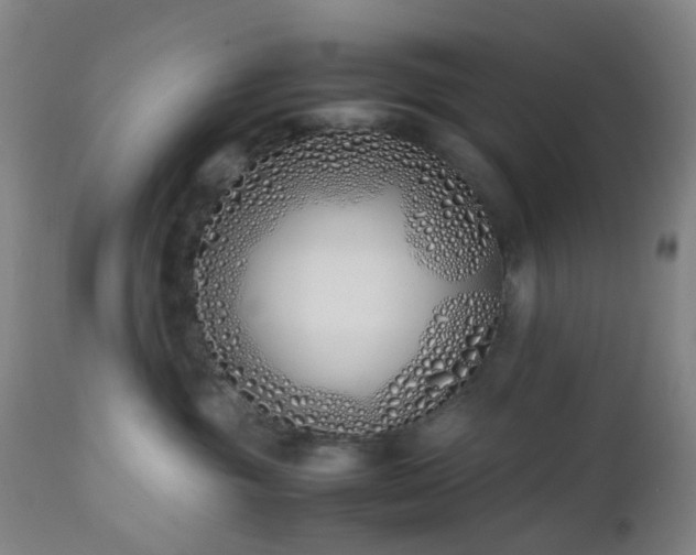 X0000112870381200908211432