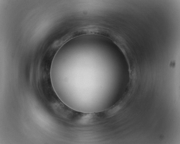 X0000112870382200908211432