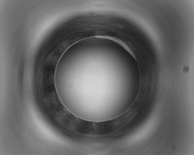 X0000112870383200908211432