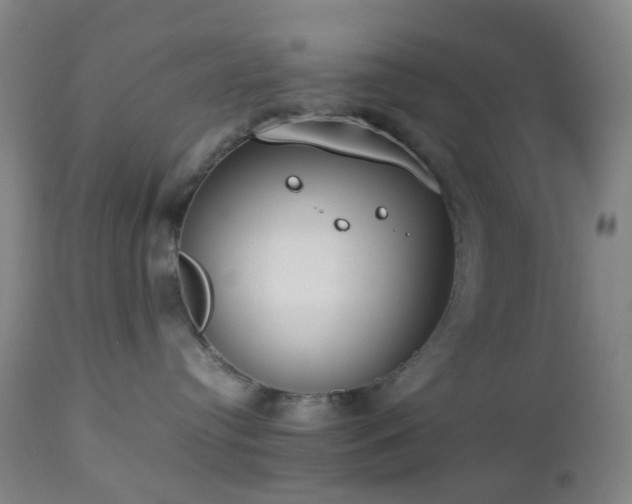 X0000112870384200908211432