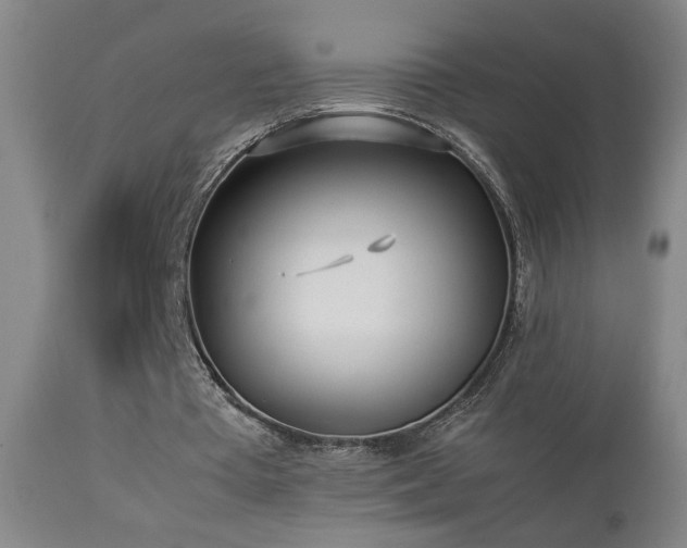 X0000112870385200908211431