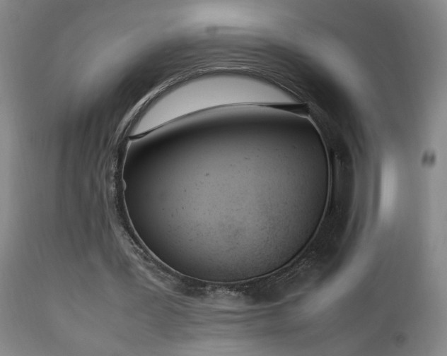 X0000112870387200908211431