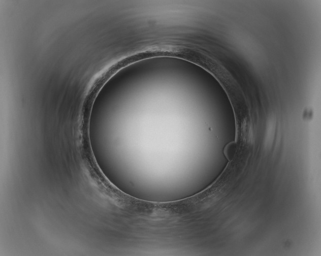 X0000112870388200908211431