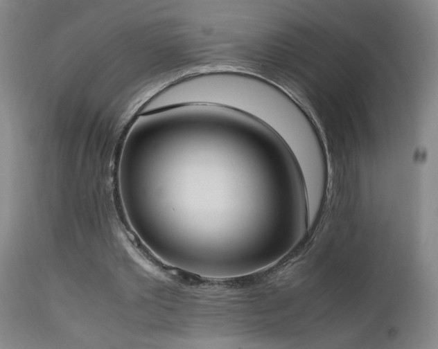 X0000112870389200908211431