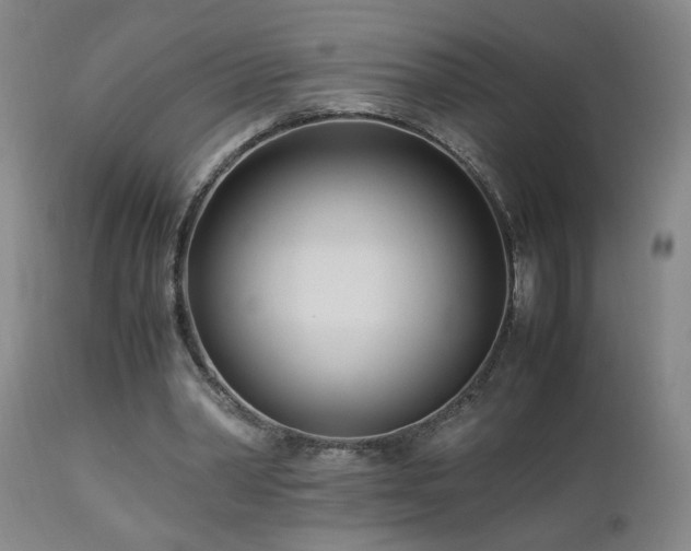 X0000112870390200908211431