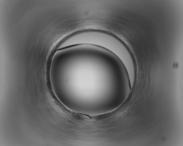 X0000112870391200908211431