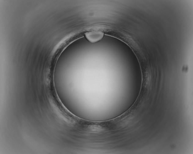 X0000112870392200908211431