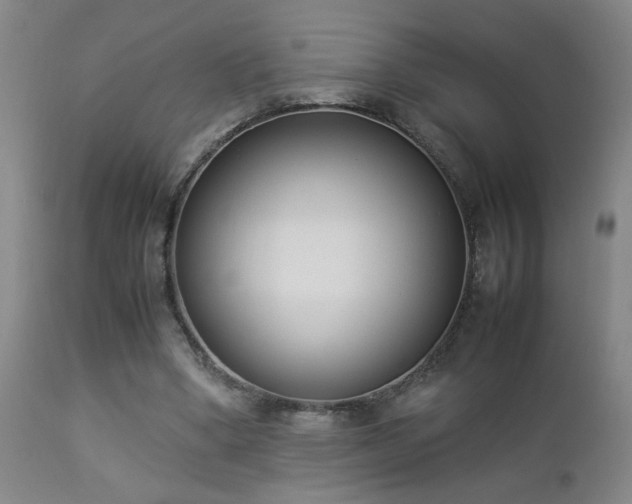 X0000112870394200908211431