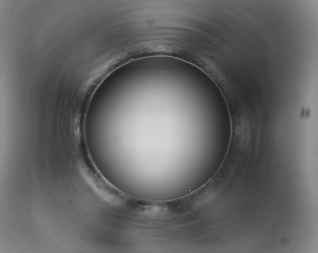 X0000112870398200908211431