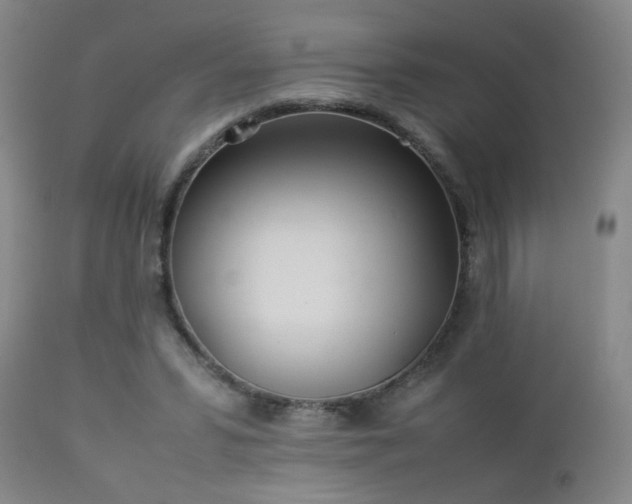 X0000112870399200908211431